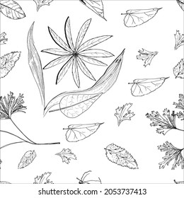 Los patrones florales sin soldadura se pueden utilizar para papel tapiz, fondo del sitio web, impresión textil. Ilustración interminable del vector vegetal dibujado a mano aislada en fondo blanco.