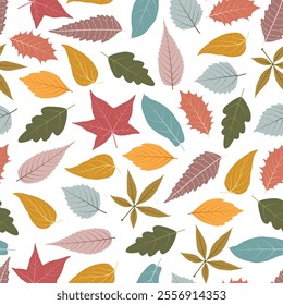 Floral Seamless Surface Pattern featuring autumn color leaves. Sweetgum, Aspen, Elm; Holly etc. leaves. Fall foliage on white background. 