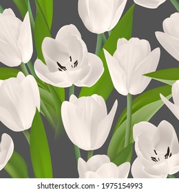 Floral Seamless tulip with leaves pattern on a beautiful background. High realism, vector, spring flowers for fabric, prints, decorations, invitation cards. Tulip