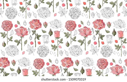 Floral seamless vector background. Pink roses on white background. Vintage style. Hand-drawn Botanical illustration. Good design for printing, postcard, Wallpaper, packaging.