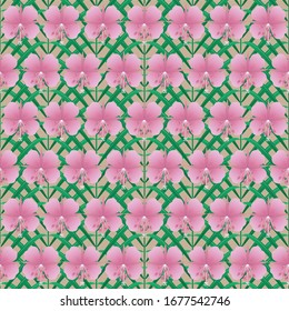 Floral seamless vector pattern in eco style. Abstract kiprey leaves and flowers-widely used as a tea in Russia and Europe, is a honey plant. Can be used for tea packaging design
