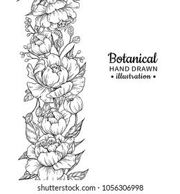 Floral seamless vintage border. Vector peony and roses botanical drawing. Isolated flower sketch. Engraved bouquet with leaves and berries. Summer greeting cart, wedding or invitation template.
