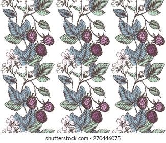 Floral seamless vintage pattern. Blackberries background