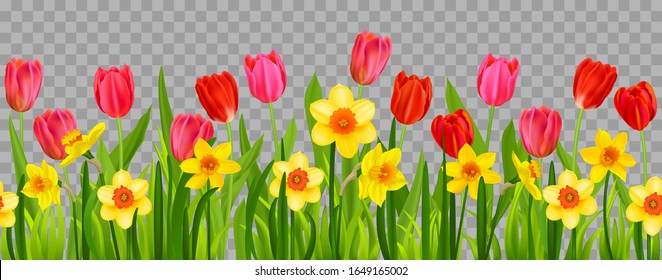 Floral seasonal decor with daffodils and tulips