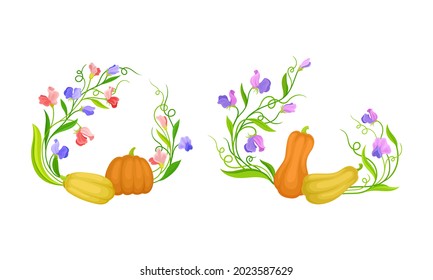 Composición de semicírculo floral de la calabaza y del conjunto de vectores de flores púrpura