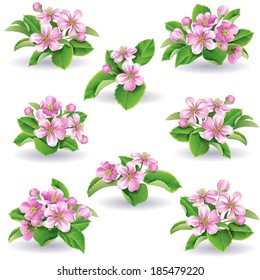 Floral set of apple-tree flowers and leaves.