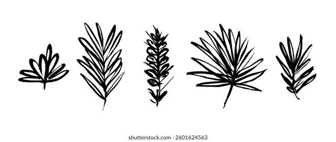 Floral set of artistic grunge textured vector black ink hand dawning tropical leaves, fern, palm leaf. Bold paintbrush botanical elements for textile pattern design, greeting card, logo