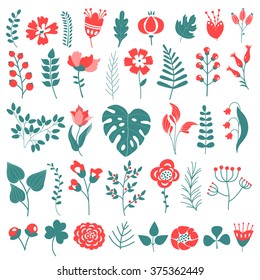 Floral set with beautiful leaves and flowers.