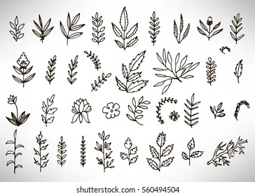 Floral Set of black hand drawn grunge floral elements, tree branch, bush, plant, leaves, flowers, branches petals isolated on white. Collection of flourish elements for design. Vector illustration.