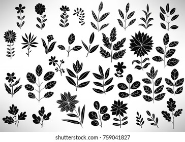 Floral Set of black hand drawn floral elements, tree branch, bush, plant, leaves, flowers, branches, petals isolated on white. Collection of flourish elements for design. Vector illustration.