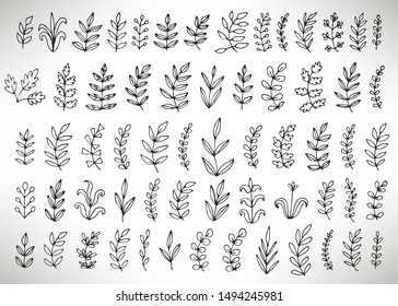 Floral set of black outline hand drawn elements, tree branch, bush, plant, tropical leaves, branches, petals isolated on white. Collection for design. Vector illustration.