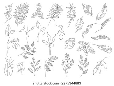 Floral set of black outline hand drawn elements, tree branch, bush, plant, tropical leaves, branches, petals isolated on white. Collection for design. Vector illustration.