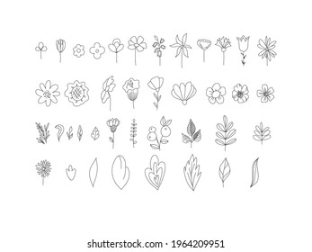 
Floral set of black and white flowers and leaves isolated on white background. Outline hand drawn style. Monochrome floral collection