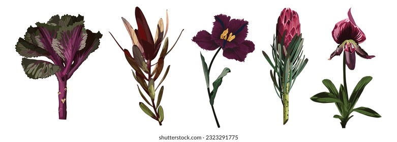 Floral set. Bordo, violet flowers and  leaves. Wedding concept with flowers. Floral poster, invite. Arrangements for greeting card or invitation design.