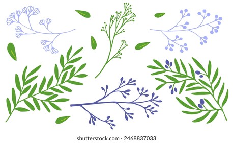 floral set. Branches, leaves, herbs, wild plants, flowers. Garden, meadow, field collection leaf, foliage, branches. illustration for logo or tattoo, invitation, save the date, card, poster, menu