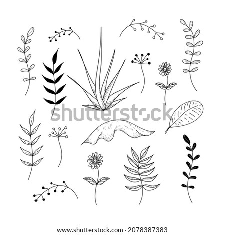 floral set bundle for decoratif abstrac
