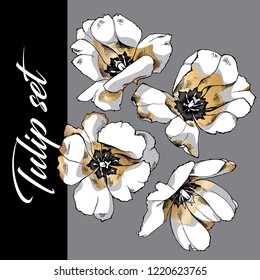 Floral set collection. Gold open tulip flowers on a gray background. Textile composition, hand drawn style print. Vector illustration.