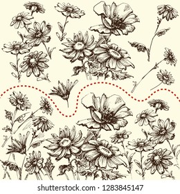 Floral set. A collection of hand drawn flowers, border, bunch or isolated design elements