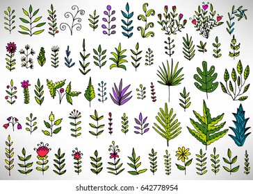 Floral set of colorful hand drawn elements, tree branch, bush, plant, tropical leaves, flowers, branches, petals isolated on white. Collection for design. Vector illustration.