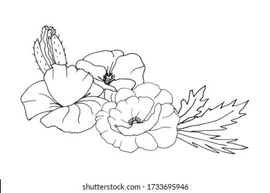 

Floral set of contours of poppies. Simple flowers design elements. Hand-drawn contour lines and strokes. Line drawing. Elements for invitation, greeting card, decor, fabric, print.