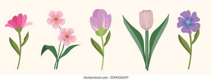 Floral set with delicate spring flowers in soft pastel colors and botanical design. Floral poster, invitation. Vector compositions for greeting card.