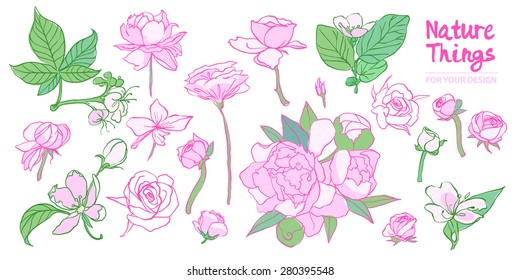 Floral set of different flowers. Beautiful flowers. delicate wedding nature object. Line art.