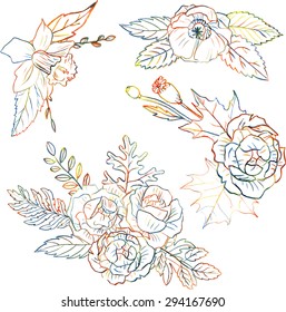  floral set drawing by colored pencils with rose flowers and leaves, creative multicolor decorative collection for design, hand drawn vector elements