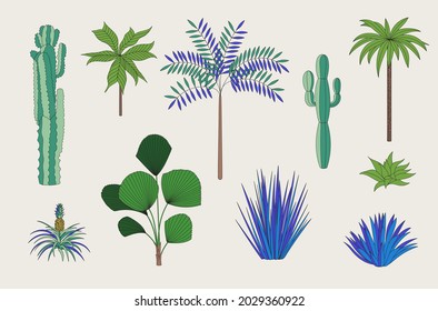 Floral Set. Exotic trees, cactus and palms. Blue and green.