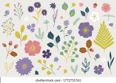 Floral set with fern, wild rose, acorn, oak leaves, flowers, fir branches, berries, blackberry and forest herbs isolated on light background. Perfect for seasonal greetings, summer and autumn decor