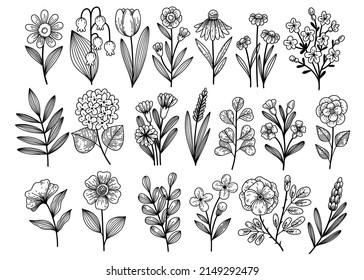 Floral set of field and garden plants in graphic style. Tulip, chamomile, daisy, hydrangea, lily of the valley and other flowers.