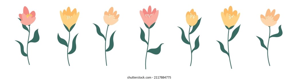 Conjunto floral. Flores vectoriales planas.