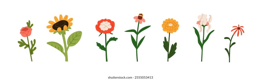 Floral set. Flowers, blooming branches, blossomed plants, decoration collection. Gorgeous rose, field sunflower, delicate echinacea. Botanical flat vector illustration isolated on white background