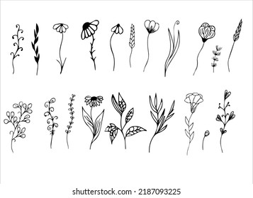 floral set, flowers, grass, leaves. Handmade in the style of line art, doodle. can be used for a postcard, a poster, your own decor