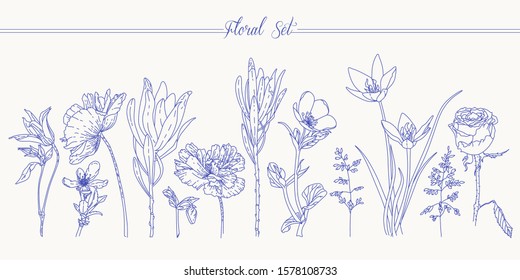 Floral set with flowers. Line art. Simple graphic drawing.