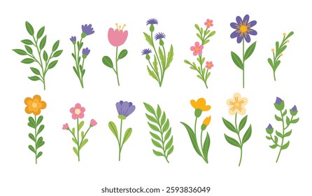 Floral set of flowers and twigs. Spring flowers on a white background. Flower collection, floral design elements vector set.