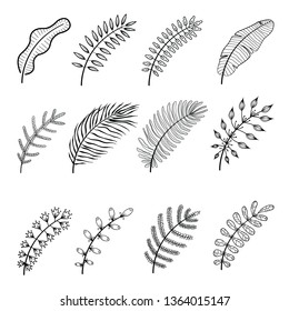 Floral set of hand drawn botanic elements. Branches, leaves, flowers. Perfect for invitations, banana, fern, coconut leaf. Vector illustration.