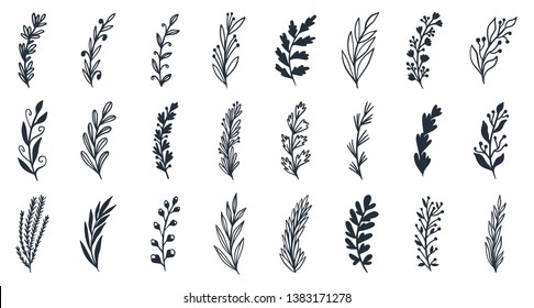 Floral set of hand drawn botanic  elements. Branches, leaves, flowers. Perfect for invitations, greeting cards design, fabric etc. Vector illustration