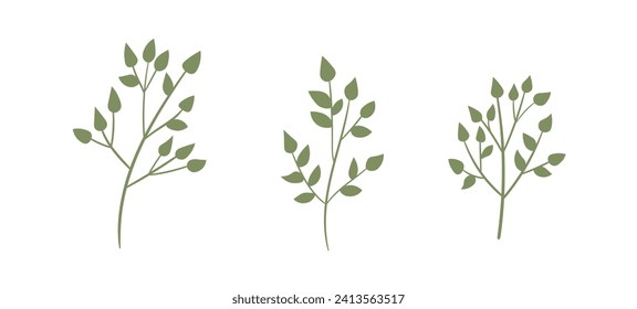 Floral set hand drawn color leaves. Cute isolated elements. Clip art for stationery, web design. Modern floral compositions. Vector illustration.