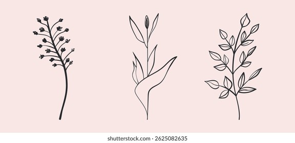 Floral set hand drawn color flowers, leaves. Cute isolated elements. Clip art for stationery, web design. Modern floral compositions. Vector illustration.