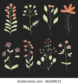 Floral Set. Hand drawn flowers on dark background made in Vector. Herbarium Set. Beautiful design elements for Wedding Invitations, Romantic Templates, Birthday Cards, Postcards, Patterns. 