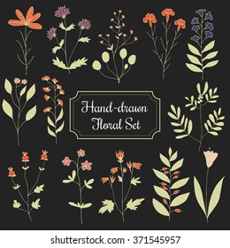 Floral Set. Hand drawn flowers and branches on background made in Vector. Herbarium Set. Beautiful design elements for Wedding Invitations, Romantic Templates, Birthday Cards, Postcards, Patterns. 