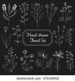 Floral Set. Hand drawn flowers and branches on background made in Vector. Herbarium Set. Beautiful design elements for Wedding Invitations, Romantic Templates, Birthday Cards, Postcards, Patterns. 