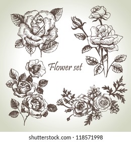 Floral set. Hand drawn illustrations of roses