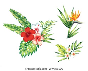 floral set with hibiscus, exotic flowers and leaves