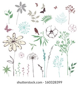 Floral set with leaves, flowers, dandelion, grass, bird and butterflies. Vector illustration.