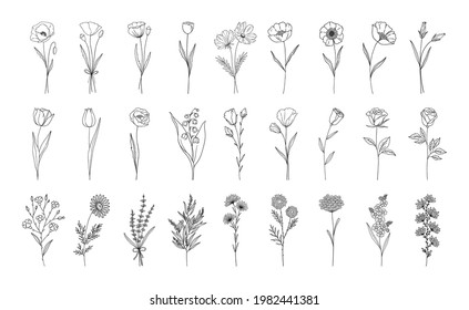Floral set  line style hand drawn flowers  Poppy  rose  lily the valley  lavender  chamomile   other botanical elements for design projects  Vector illustration 