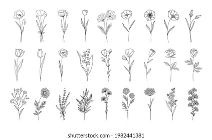 Floral Set, Line Style Hand Drawn Flowers. Poppy, Rose, Lily Of The Valley, Lavender, Chamomile And Other Botanical Elements For Design Projects. Vector Illustration.