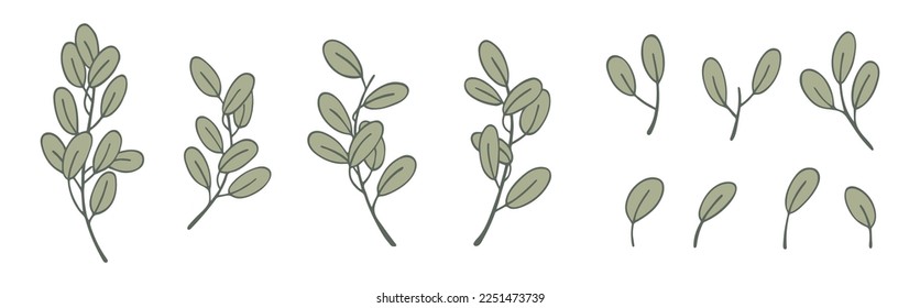 Floral set of olive branches and leaves. Can be used for decor, textile, wallpaper, pattern. Isolated vector illustration on white background.