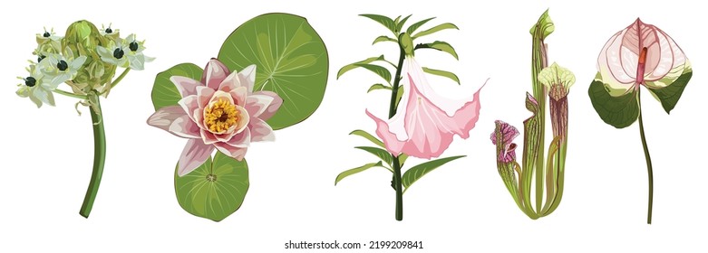 Floral set. Pink flowers and herbs, green leaves. Wedding concept with flowers. Floral poster, invite. Arrangements for greeting card or invitation design.