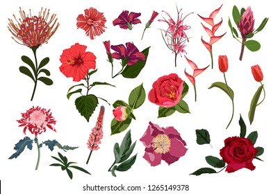 Floral set. Red and burgundy flowers, green leaves. Wedding concept with flowers. Floral poster, invite. Arrangements for greeting card or invitation design.